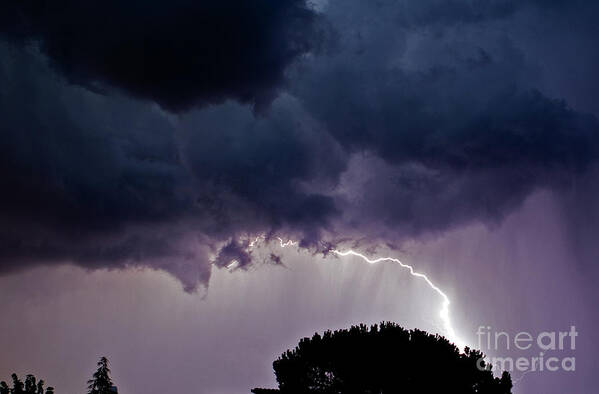 Nature Art Print featuring the photograph Lightning And Skyline by Tim Holt