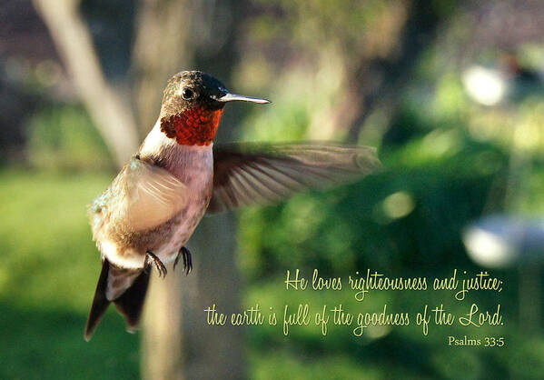 Bird Art Print featuring the photograph Like a Dream  Inspirational by Bill Pevlor