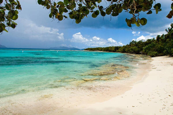 Caribbean Island Art Print featuring the photograph Lindquist Beach by Lisa Chorny