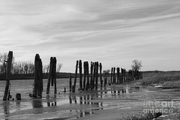 River Art Print featuring the photograph Line of river pilings by Yumi Johnson