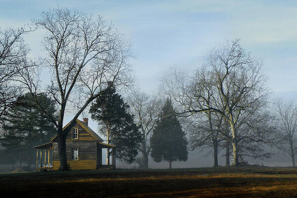 Field Art Print featuring the photograph Lisa's Little House in Georgia by Sally Ross