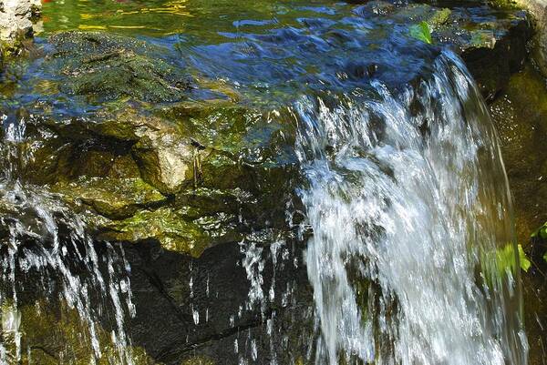 Water Art Print featuring the photograph Little Falls by Norma Brock