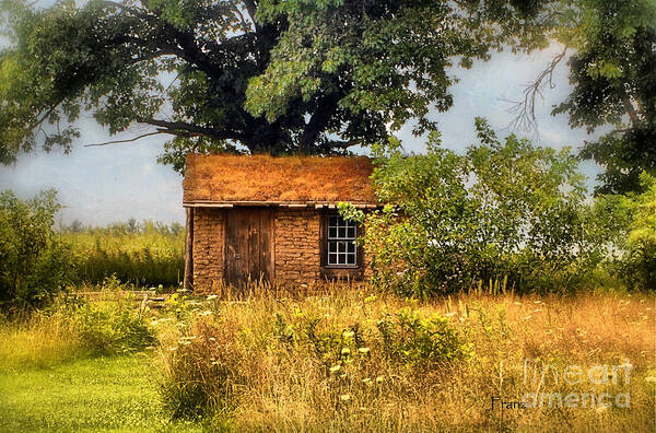 Landscape Photography Art Print featuring the photograph Little House on The Prairie by Peggy Franz