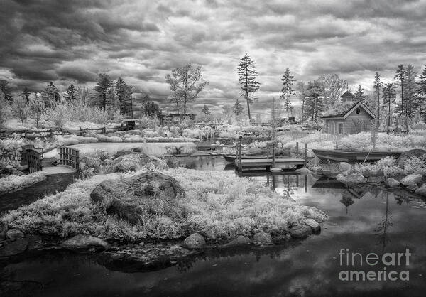 Ir Art Print featuring the photograph Little Island by Claudia Kuhn