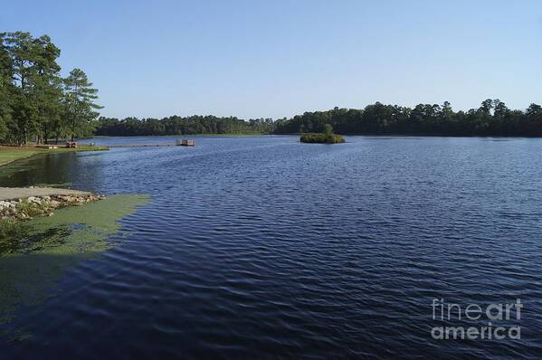 Lake Art Print featuring the photograph Little Pee Dee State Park Lake by MM Anderson