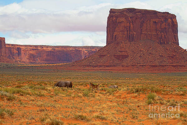Red Soil Art Print featuring the photograph Living Beneath the Butte by Jim Garrison