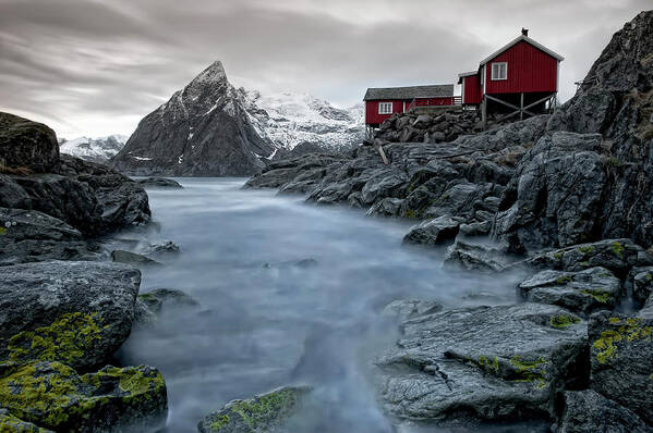 Landscape Art Print featuring the photograph Living Norway by Liloni Luca