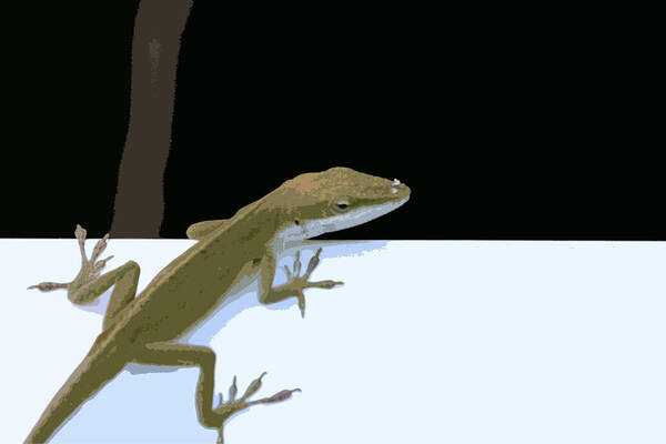 Lizard Art Print featuring the photograph Lizard by Carol McCarty