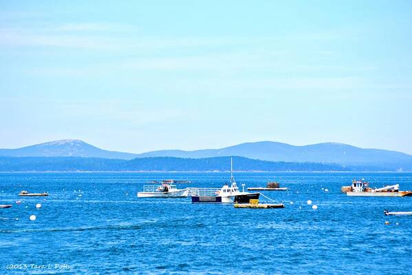 Lobstah Boats Art Print featuring the photograph Lobstah Boats by Tara Potts