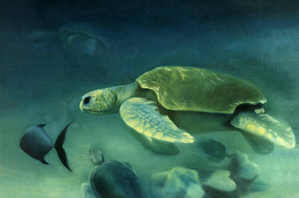 Loggerhead Turtles Art Print featuring the painting Loggerhead Turtle by Anni Adkins