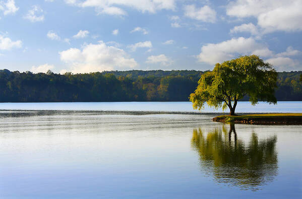 Tree Art Print featuring the photograph Lone Tree on the River by Melinda Fawver