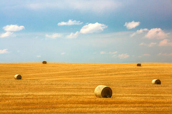 Field Art Print featuring the photograph Lonely Fields by Todd Klassy