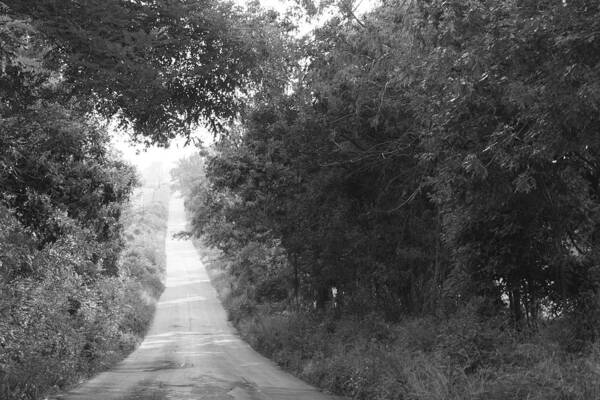 Country Road Fog Summer Day Quiet Evening Walk Art Print featuring the photograph Lonesome Road by Terry Scrivner