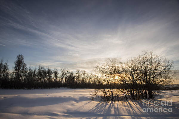 Sunset Art Print featuring the photograph Long shadows by Darcy Shawchek