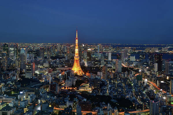 Tokyo Tower Art Print featuring the photograph Looking At Tokyo Tower by Mhbs