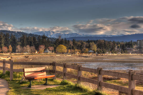 Fence Art Print featuring the photograph Looking Back by Randy Hall