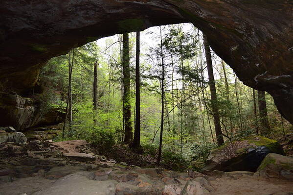 Pickett State Park Tennessee Cave Art Print featuring the photograph Picket State Park,TN, Rock House Looking Outside by Stacie Siemsen