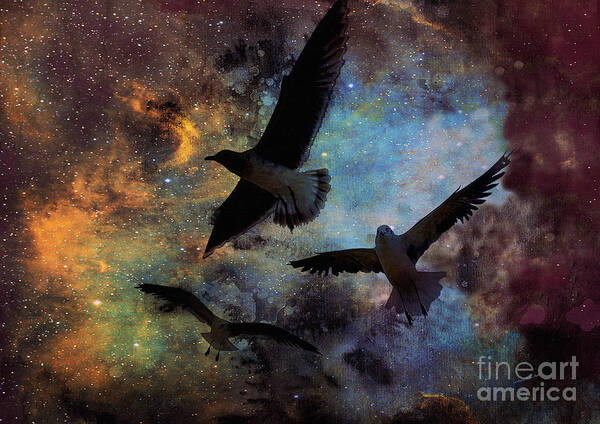 Fine Art Print Art Print featuring the photograph Lost in Space by Patricia Griffin Brett