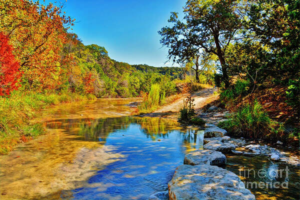 Hint Of Fall Art Print featuring the photograph Lost Maples State Natural Area by Savannah Gibbs