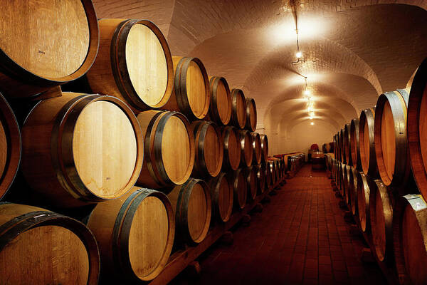 Alcohol Art Print featuring the photograph Lots Of Future Wine Oak Barrels by Rapideye