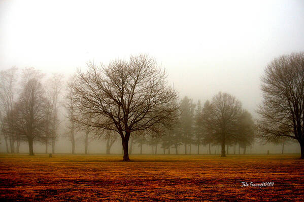 Trees Art Print featuring the photograph Love Foggy Mornings by Jale Fancey