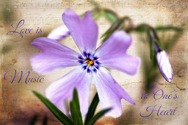 Floral Art Print featuring the photograph Love is Music by Trina Ansel