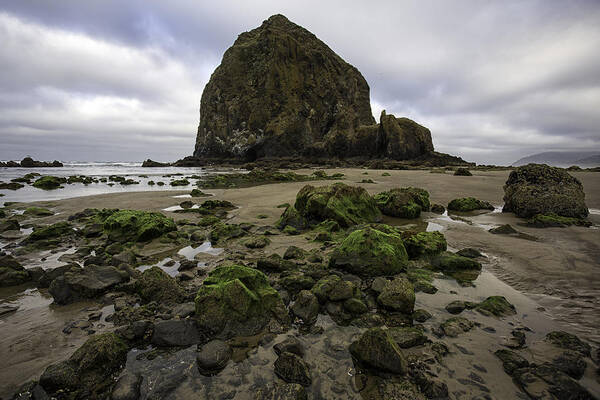 2013 Art Print featuring the photograph Low Tide at Haystack by Sara Hudock