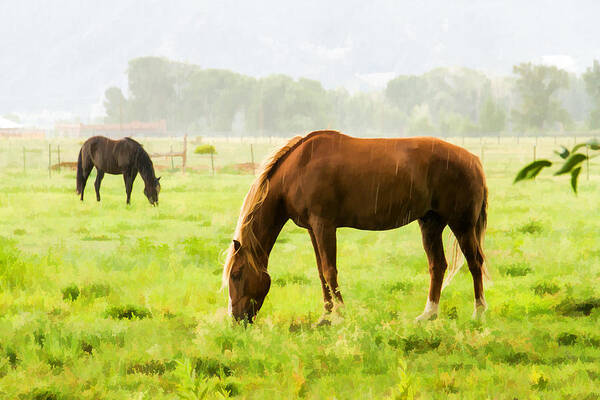 Horses Art Print featuring the photograph Lunch in the Rain by Jerry Nettik