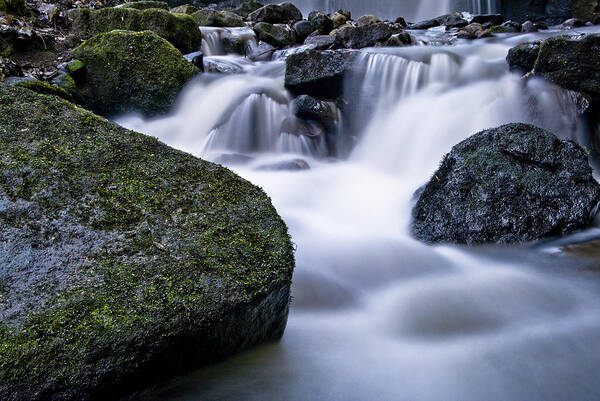  Art Print featuring the photograph Lwv10049 by Lee Winter