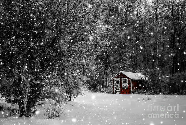 Winter Art Print featuring the photograph Made in Maine Winter by Brenda Giasson