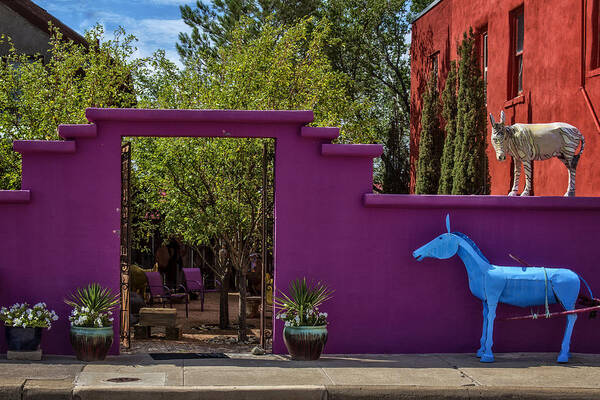 Gate Art Print featuring the photograph Magenta Gate 2 by Diana Powell