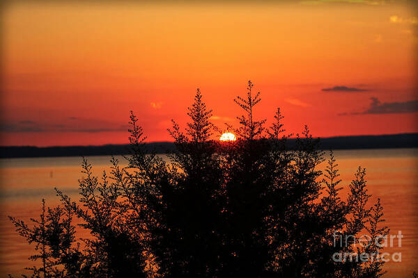 Sunset Art Print featuring the photograph Magic At Sunset by Ella Kaye Dickey