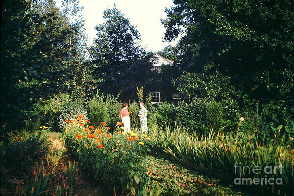 Maine Art Print featuring the photograph Maine Garden by George DeLisle