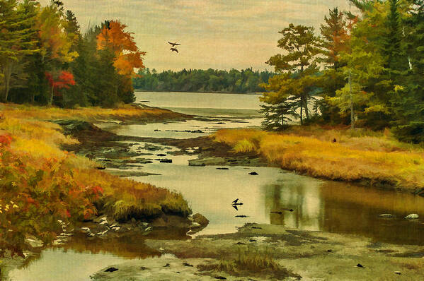 Maine Art Print featuring the photograph Maine Wetlands by Cathy Kovarik