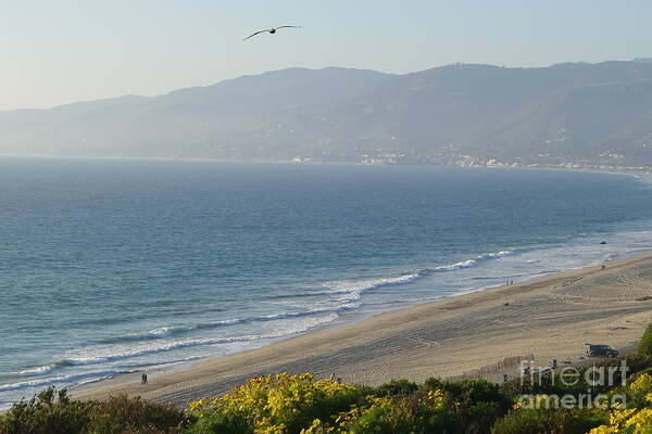  Art Print featuring the photograph Malibu - View by Nora Boghossian