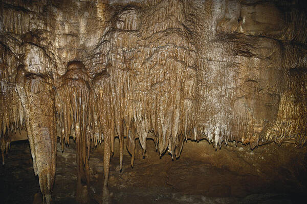 1995 Art Print featuring the photograph Mammoth Cave by John W. Bova