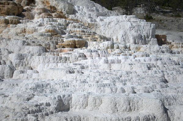 White Art Print featuring the photograph Mammoth Hotsprings 3 by Frank Madia