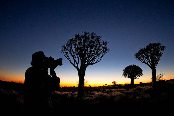 Photography Art Print featuring the photograph Man Photographing In Quiver Tree Forest by Panoramic Images