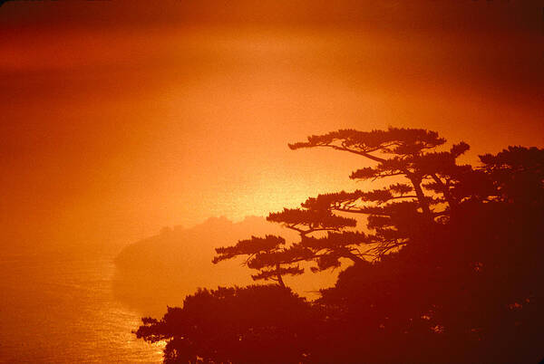 Marin County Art Print featuring the photograph Marin County Sunset Fog by Wernher Krutein