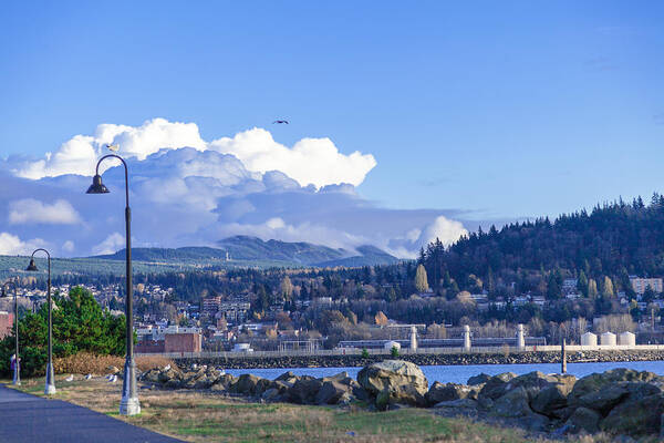 Bellingham Art Print featuring the photograph Marina View by Judy Wright Lott