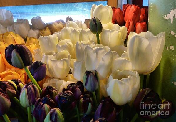 Abstract Art Print featuring the photograph Market Flowers by Lauren Leigh Hunter Fine Art Photography