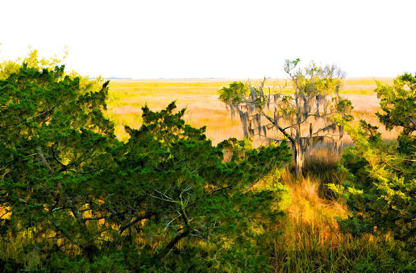 Georgia Marshland Art Print featuring the photograph Georgia Coastal Marsh and Cedar Tree by Ginger Wakem