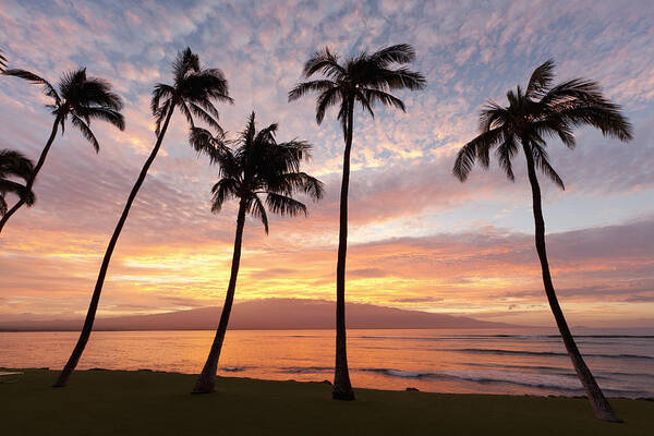 Ma'alaea Art Print featuring the photograph Maui Sunrise by David Olsen