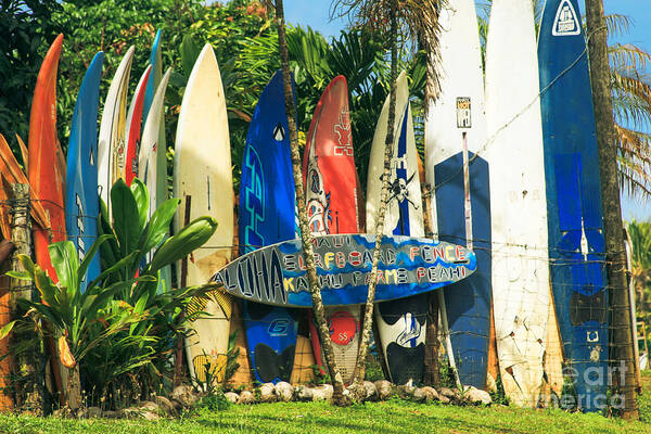 Aloha Art Print featuring the photograph Maui Surfboard Fence - Peahi Hawaii by Sharon Mau