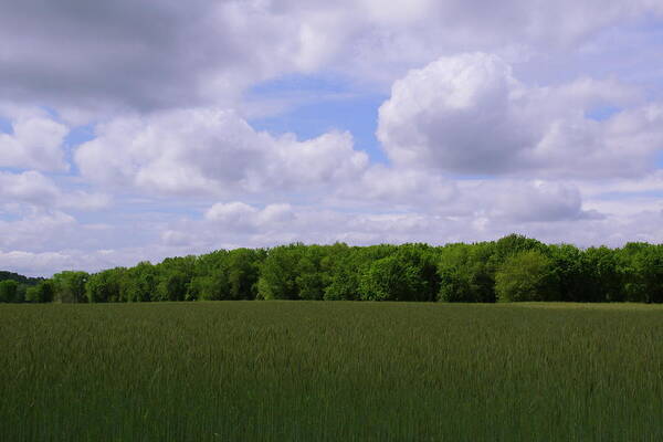 Field Art Print featuring the photograph May by Andrea Galiffi