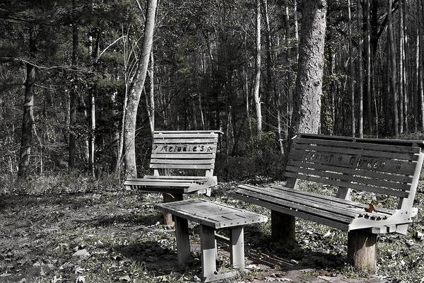 Bench Art Print featuring the photograph Melodie's Secret Garden by David Yocum