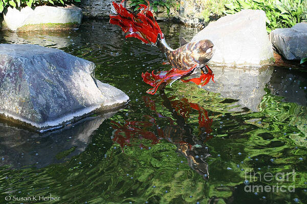 Koi Pond Art Print featuring the photograph Merry Koi by Susan Herber