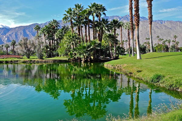 Golf Courses Art Print featuring the photograph Mesquite Country Club Lake by Kirsten Giving