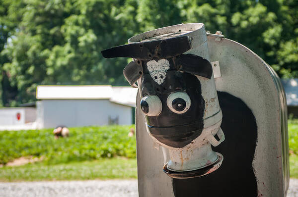 Animal Art Print featuring the photograph Metal Cow On Farm by Alex Grichenko