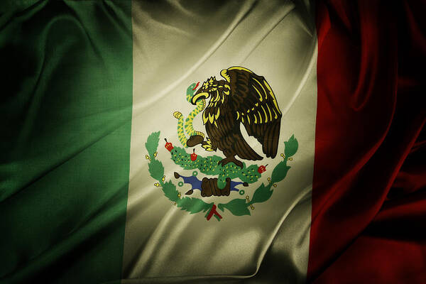 Government Art Print featuring the photograph Mexican flag by Les Cunliffe